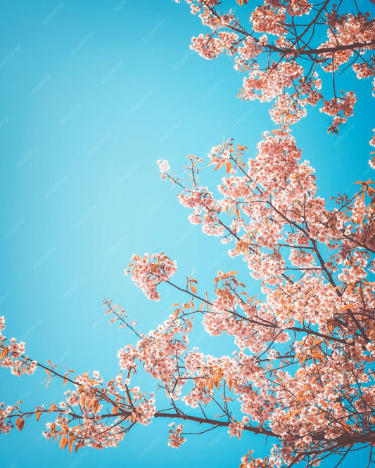 Spring Clean Sale