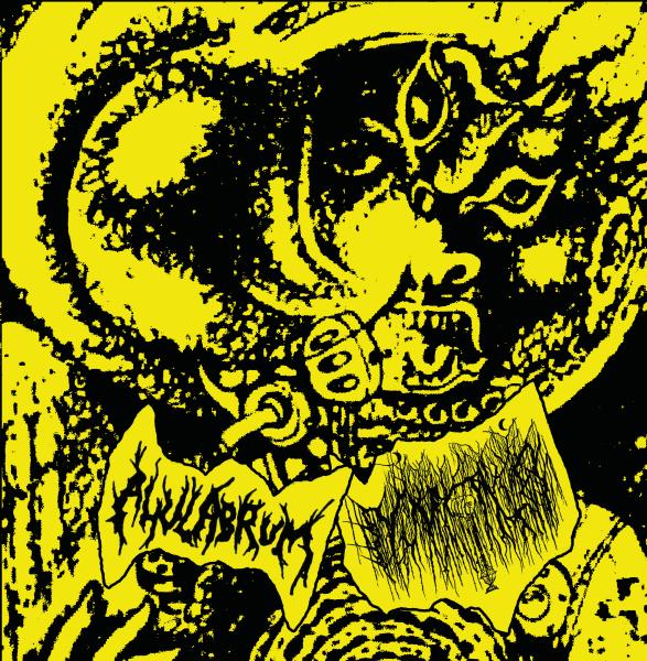 AHULABRUM / MNIMA - split LP