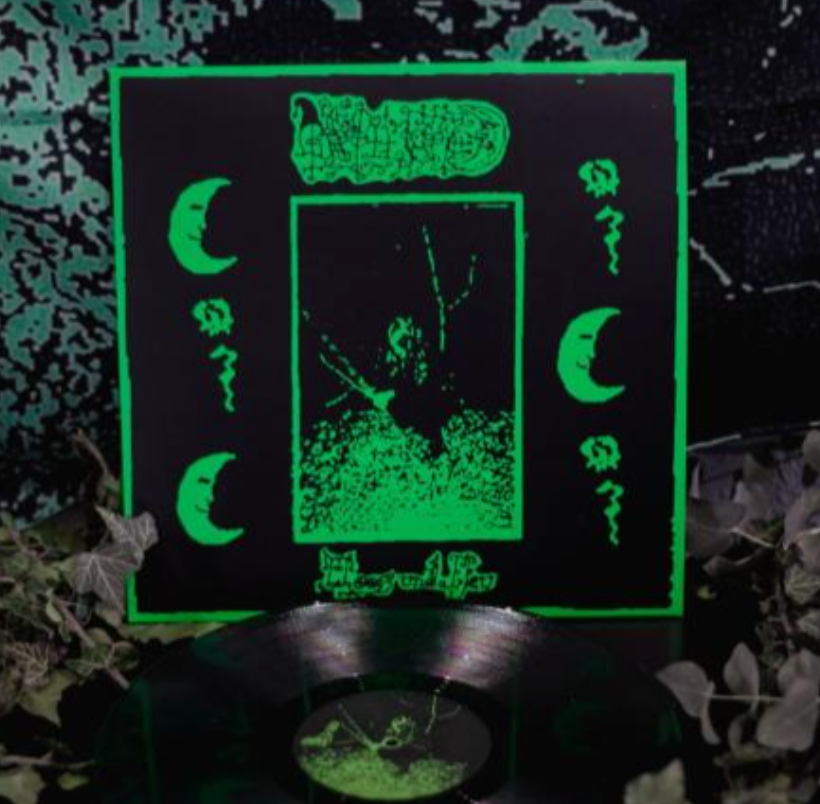 Grollfried - Moos und Efeu LP