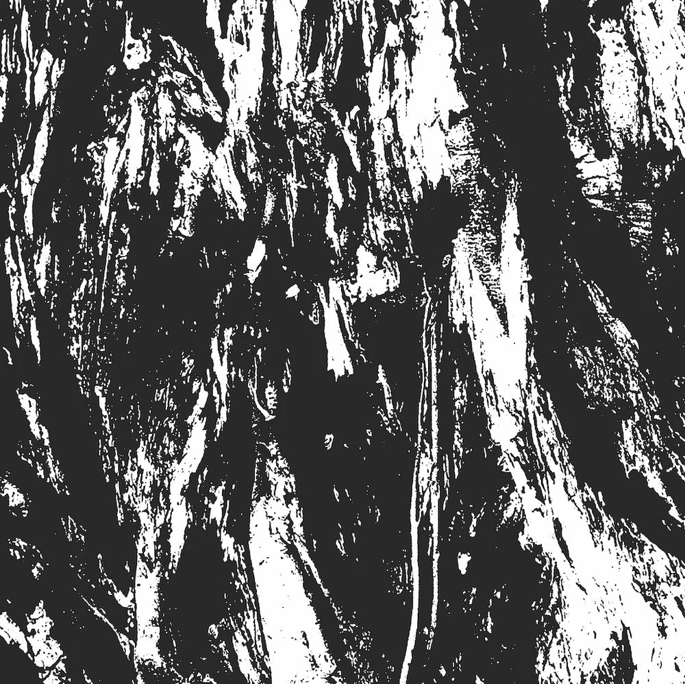CARVED CROSS / EMPIRE OF HATE - Split LP