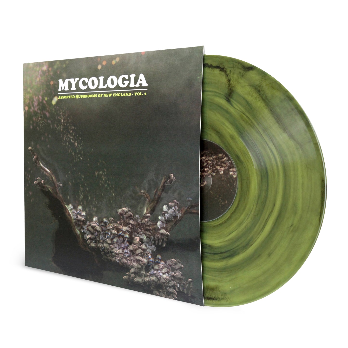 MYCOLOGIA - Assorted Mushrooms of New England (Vol.2) LP