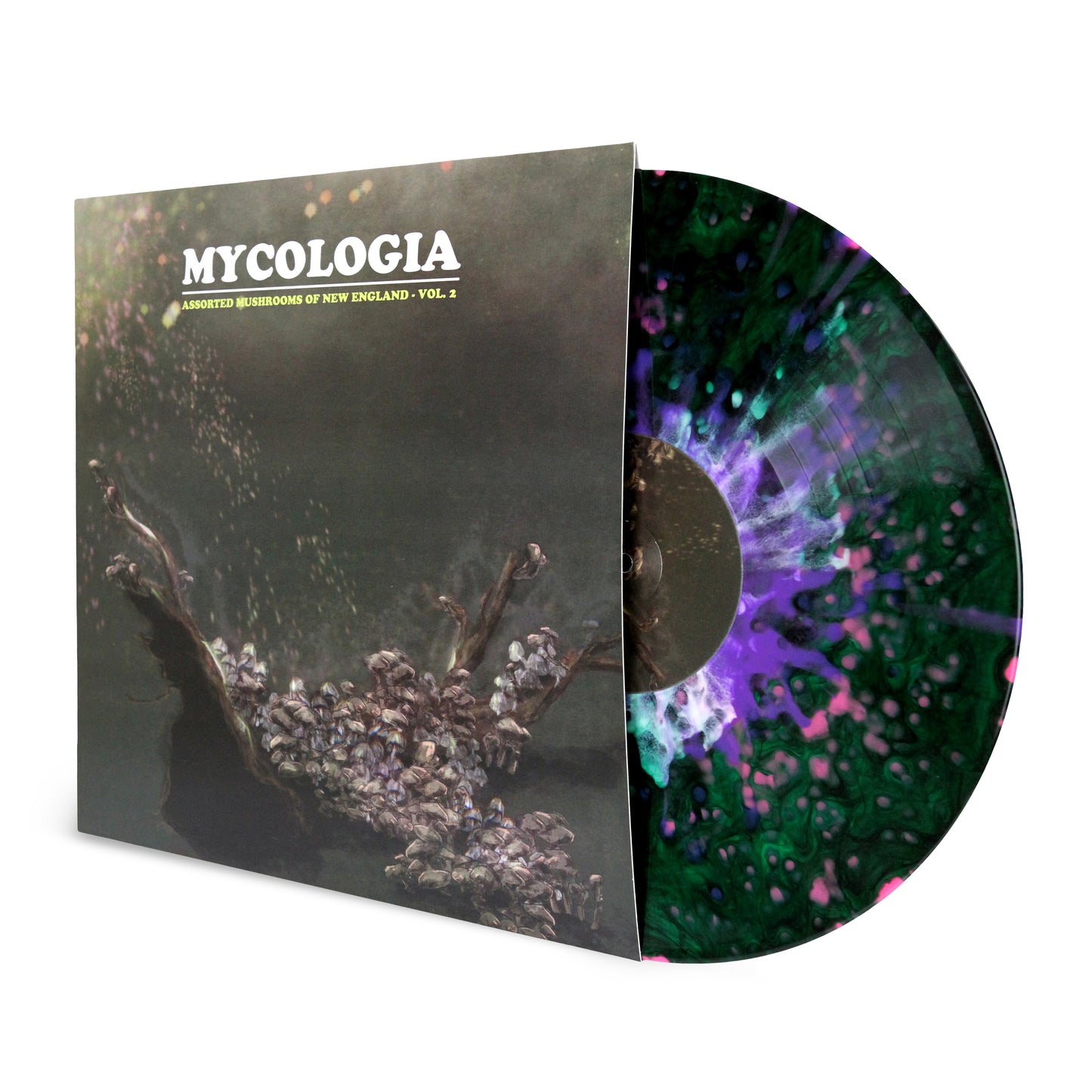 MYCOLOGIA - Assorted Mushrooms of New England (Vol.2) LP