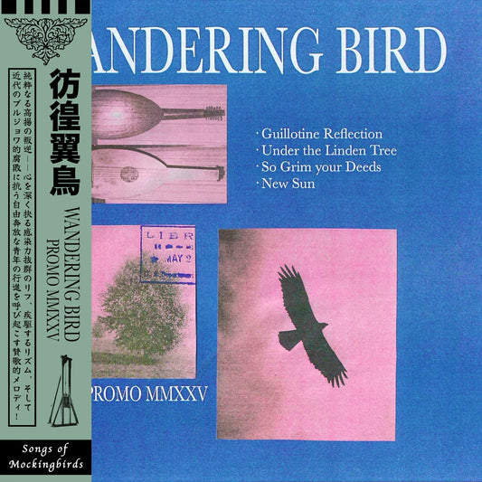 WANDERING BIRD - Promo MMXXV 10"