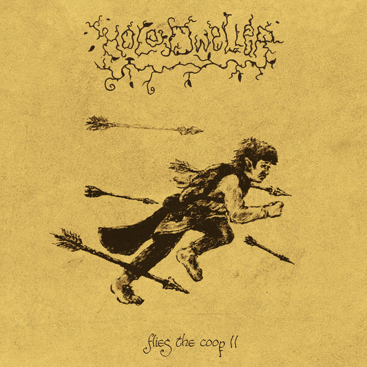 HOLE DWELLER - flies the coop II LP *PREORDER*