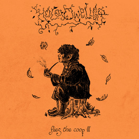 HOLE DWELLER - flies the coop III LP *PREORDER*