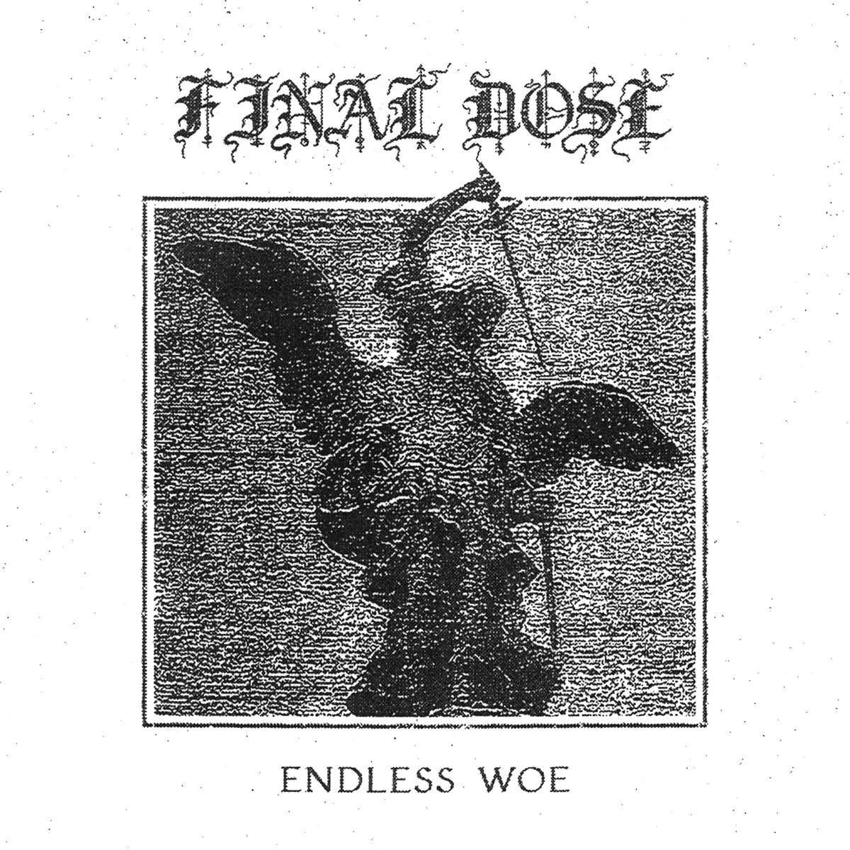 FINAL DOSE - Endless Woe cassette