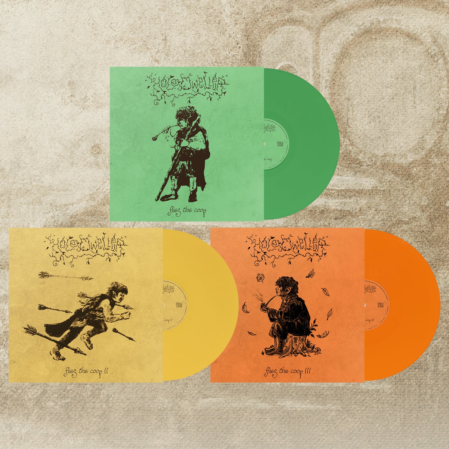 HOLE DWELLER - flies the coop 3xLP BUNDLE *PREORDER*