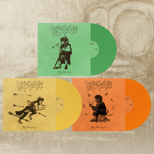 HOLE DWELLER - flies the coop 3xLP BUNDLE *PREORDER*