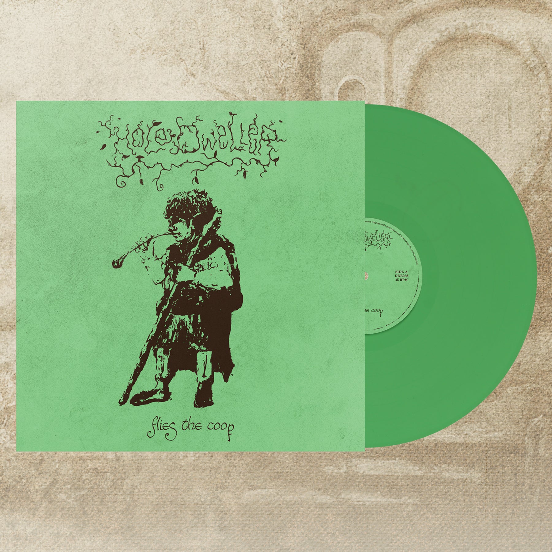 HOLE DWELLER - flies the coop LP *PREORDER* – phantom lure