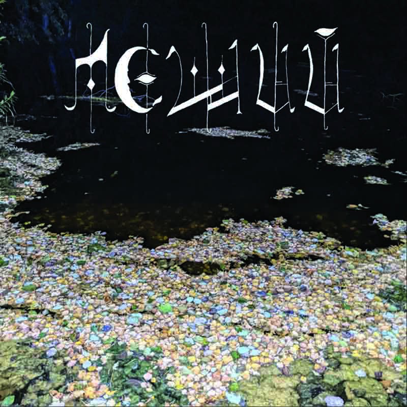 Леший – Почва LP