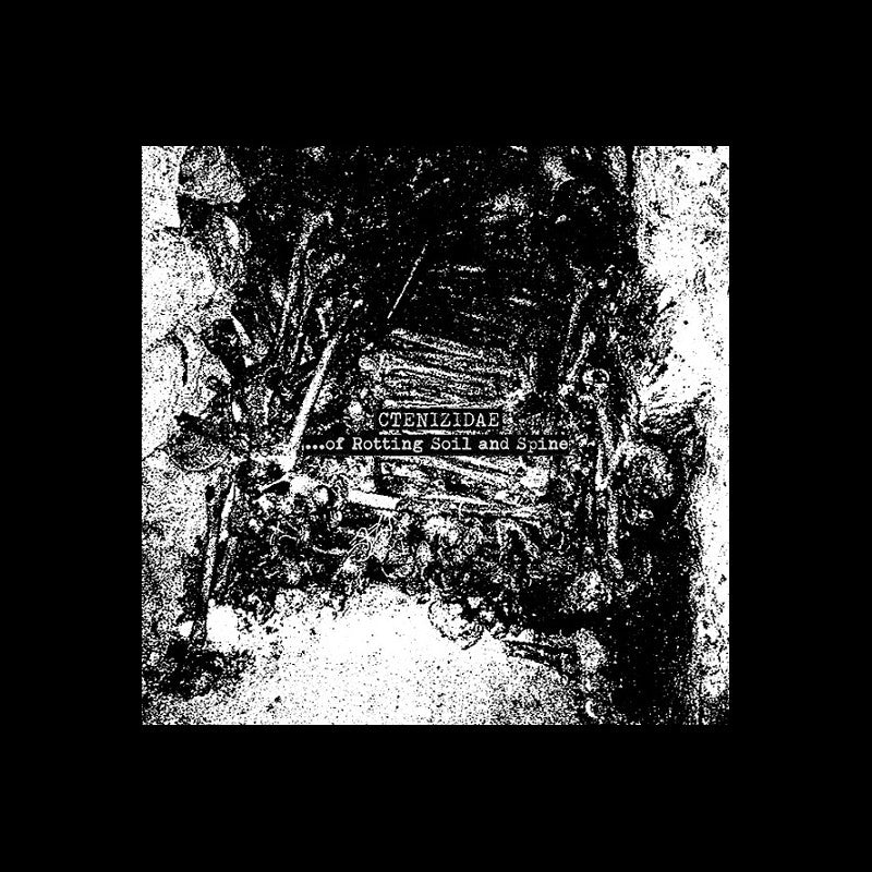 Ctenizidae - ...Of Rotting Soil And Spine MLP 10"