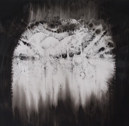 FLAIL - Dying Embers To Coldening Coals LP